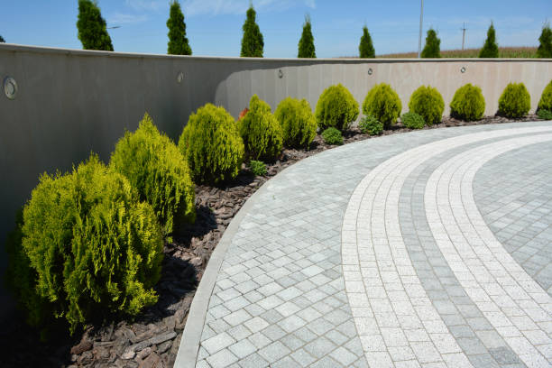 Reasons to Select Us for Your Driveway Paving Requirements in Cattaraugus, NY
