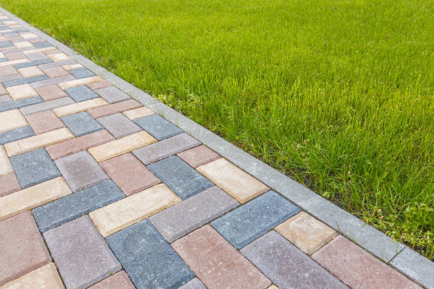 Best Driveway Paving Contractor  in Cattaraugus, NY